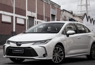 Toyota Corolla 2020 (divulgação)