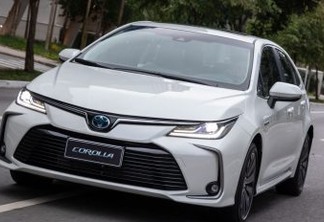 Toyota Corolla 2020 (divulgação)